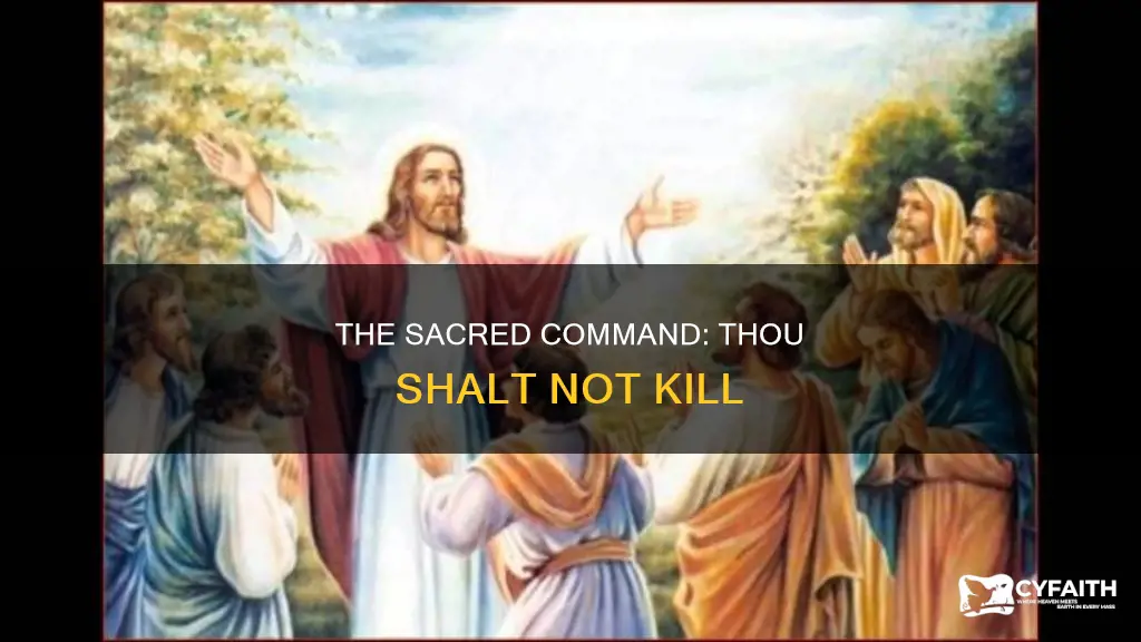 what is the 6th commandment catholic