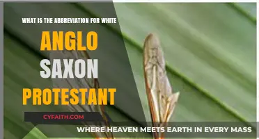 Decoding WASP: Understanding the Abbreviation for White Anglo-Saxon Protestant