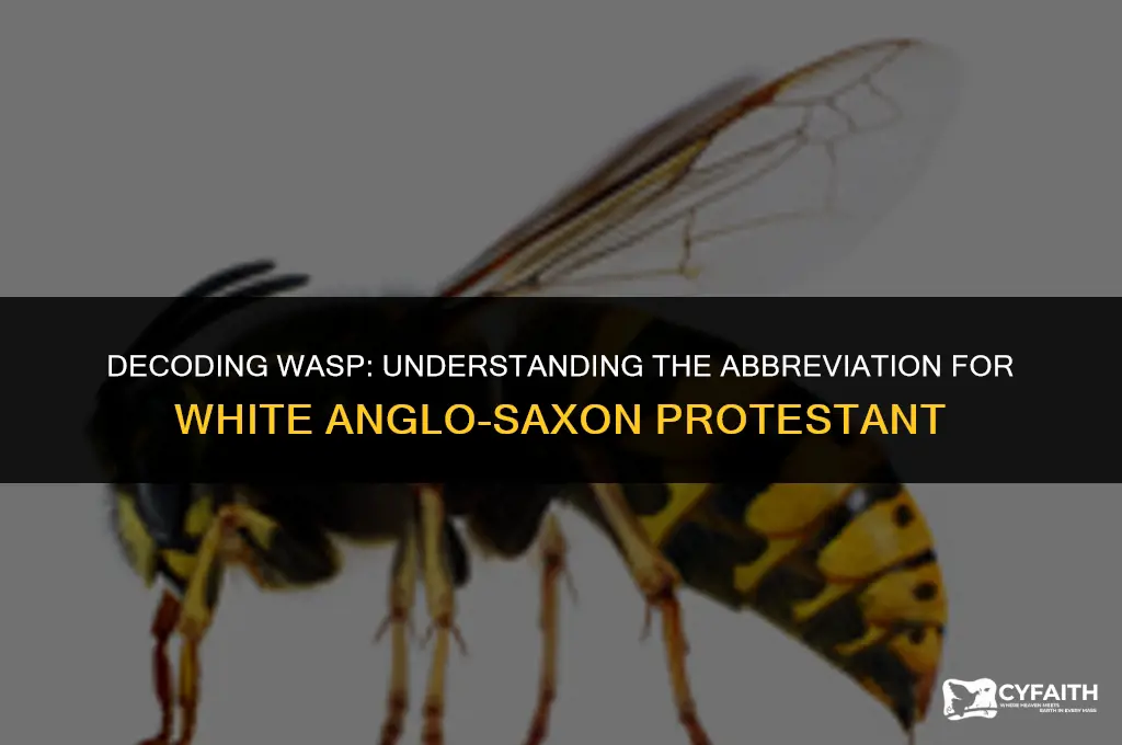 what is the abbreviation for white anglo saxon protestant