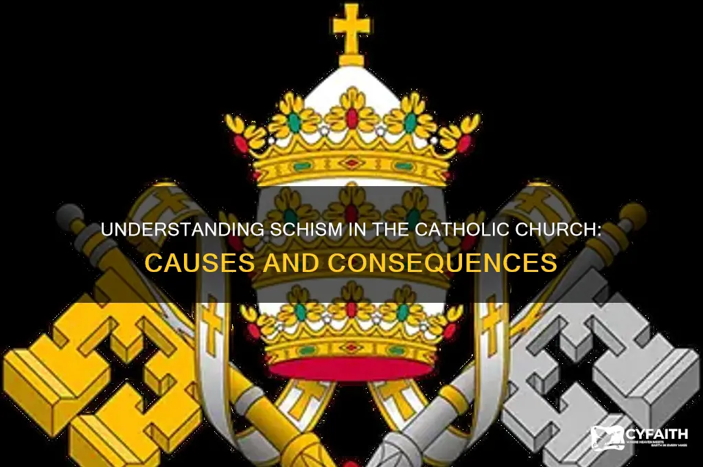 what is the act of schism catholic