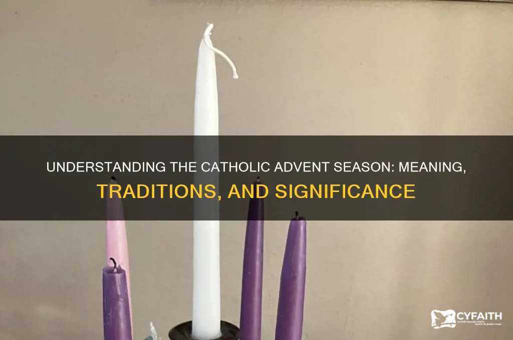 what is the advent season catholic