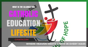 Understanding the Alliance for Catholic Education's Lifesite Mission and Impact