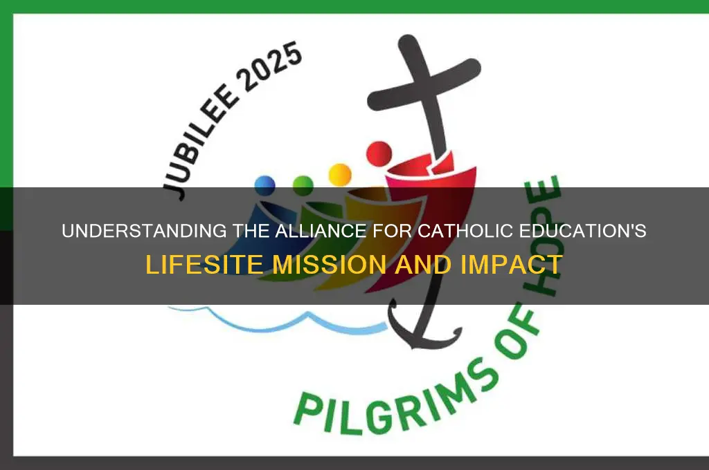 what is the alliance for catholic education lifesite