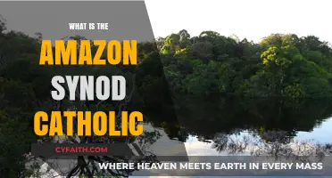 Understanding the Amazon Synod: Catholic Church's Vision for Ecology and Ministry