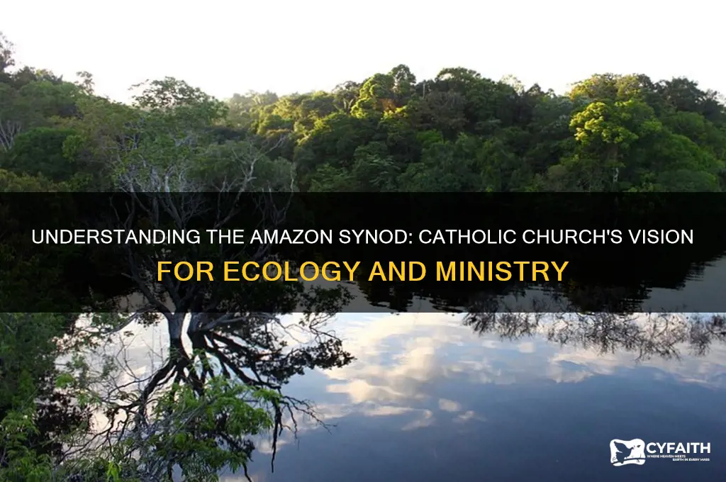 what is the amazon synod catholic