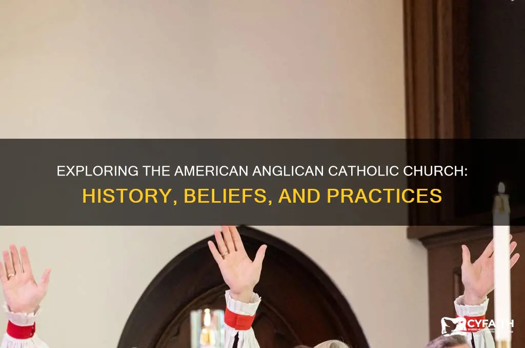 what is the american anglican catholic church