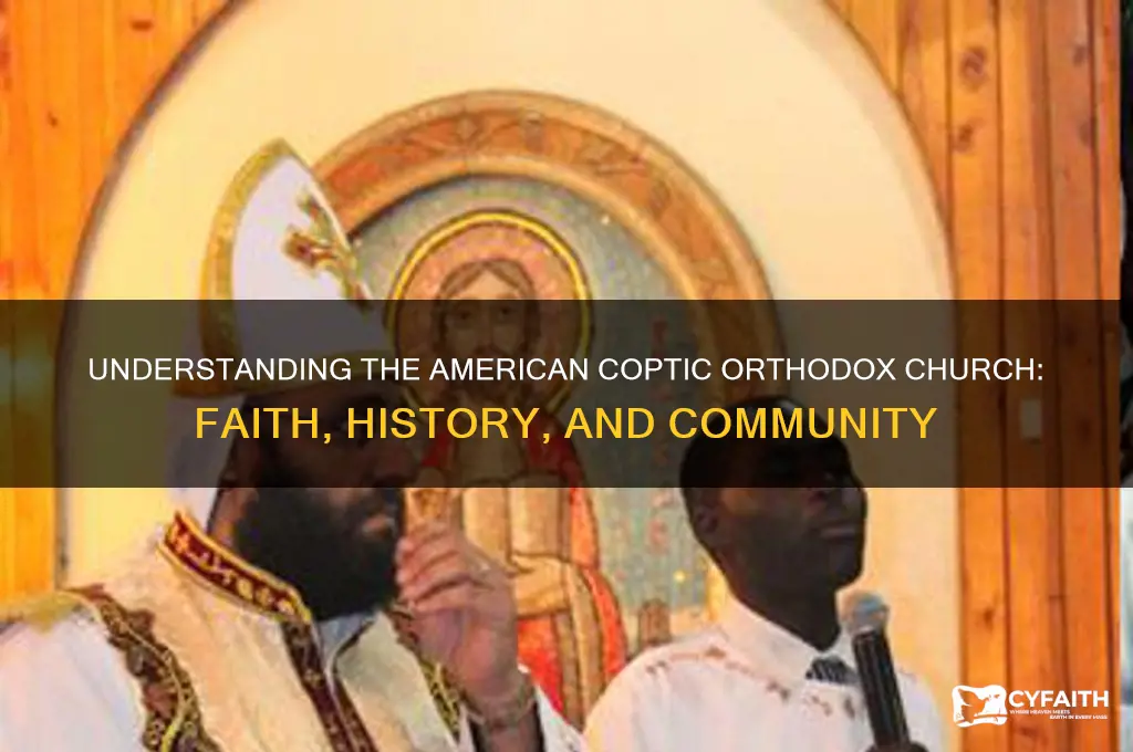what is the american coptic orthodox church