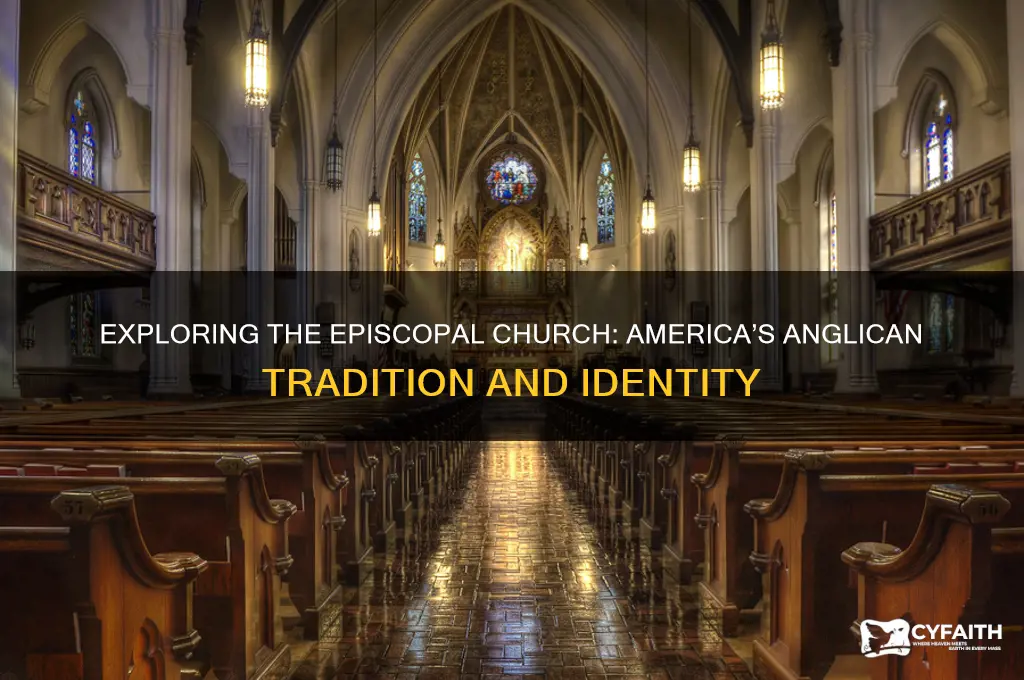 what is the american version of anglican