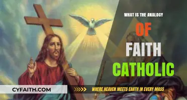 Understanding the Catholic Faith: A Powerful Analogy Explained