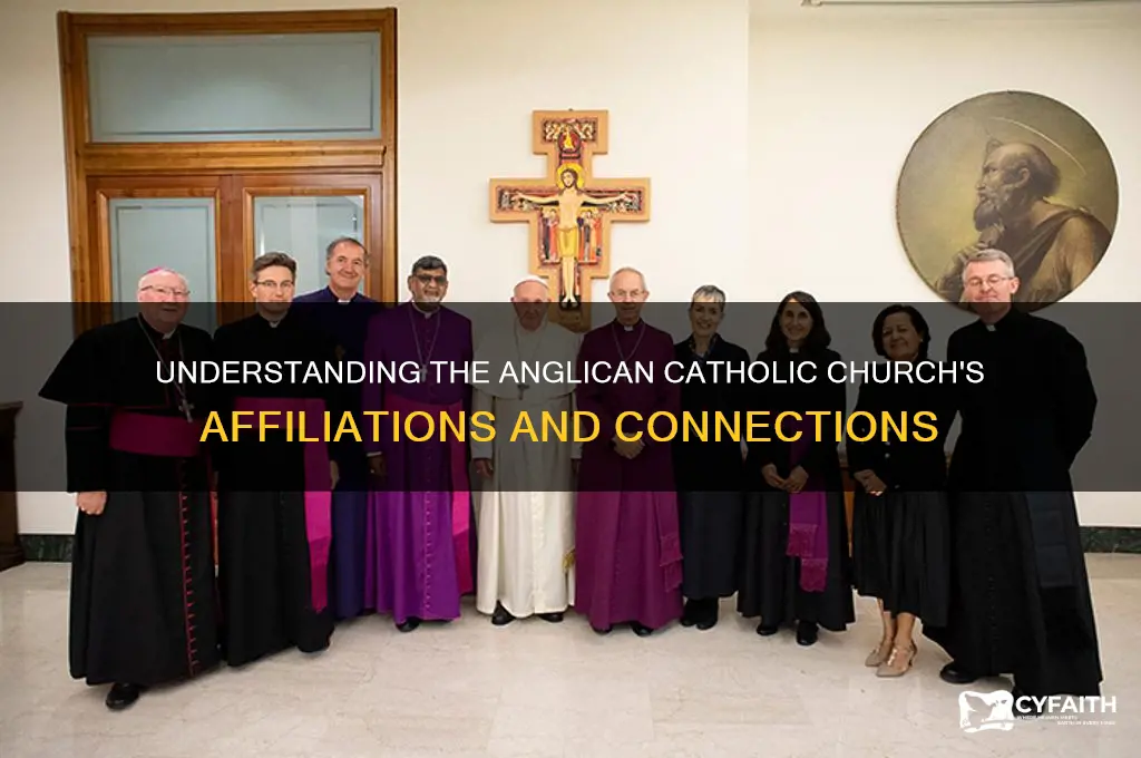what is the anglican catholic church affiliated with