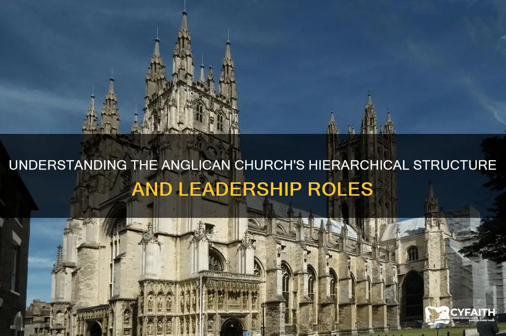 what is the anglican church hierarchy