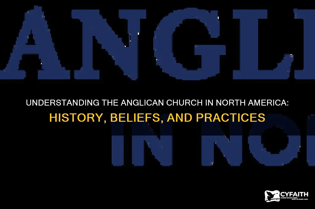 what is the anglican church in north america