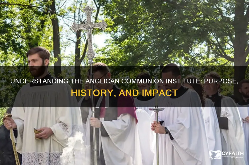 what is the anglican communion institute