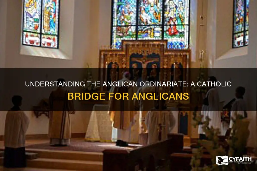 what is the anglican ordinariate