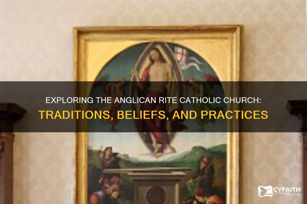what is the anglican rite catholic church