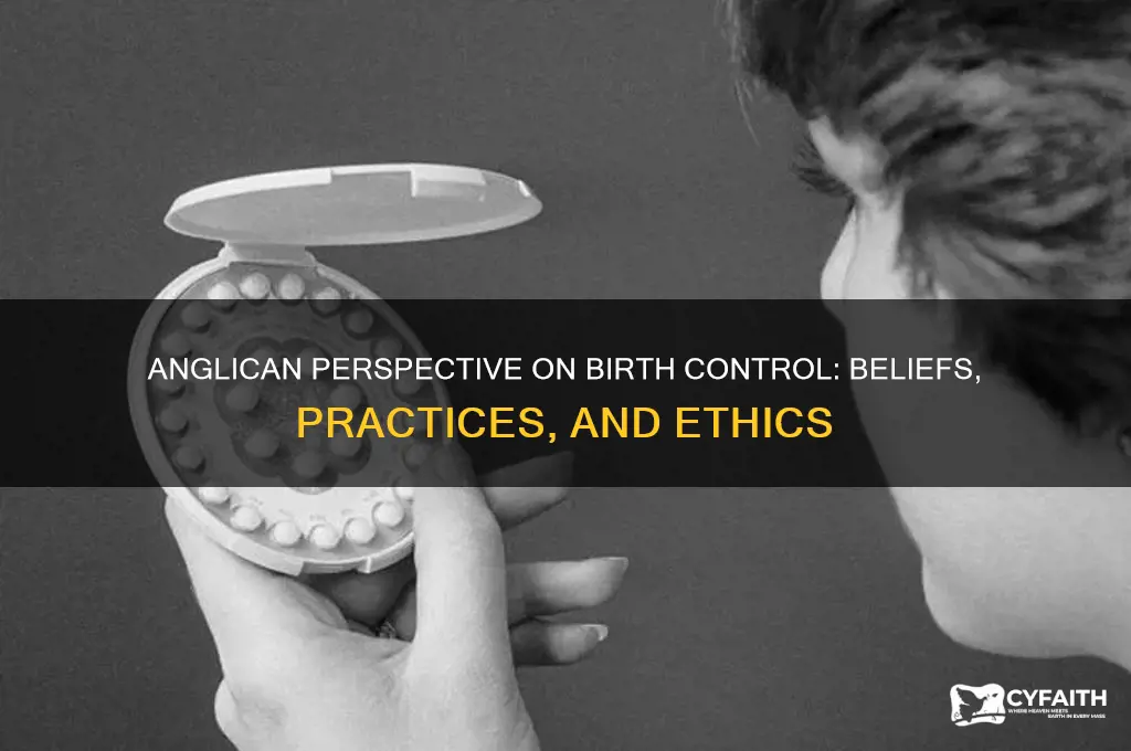 what is the anglican stance on birth control