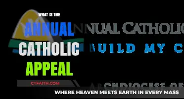 Understanding the Annual Catholic Appeal: Purpose, Impact, and Faith in Action