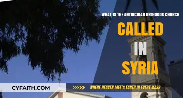 The Antiochian Orthodox Church's Name and Presence in Syria Explained