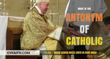 Exploring the Opposite: What's the Antonym of Catholic?