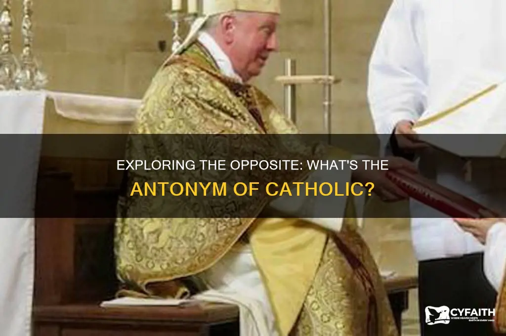 what is the antonym of catholic