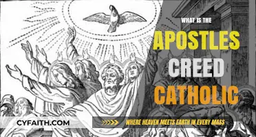 The Apostles' Creed: Catholic Faith's Foundation