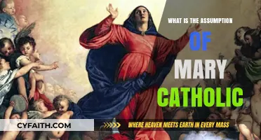 Understanding the Catholic Doctrine of the Assumption of Mary