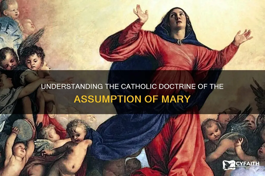 what is the assumption of mary catholic
