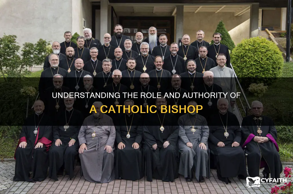what is the authority of a catholic bishop