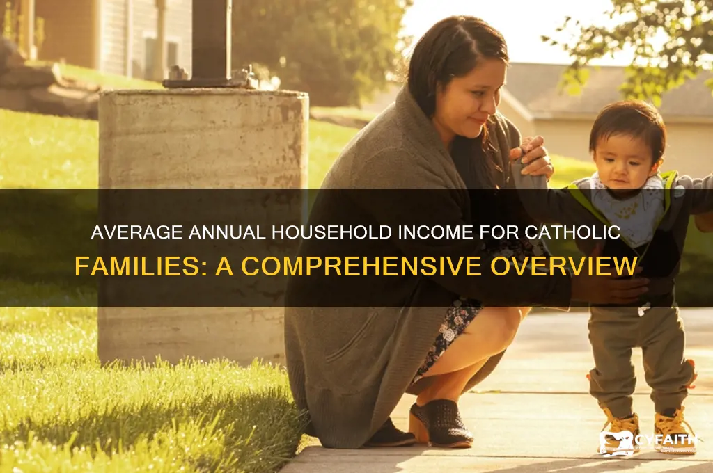 what is the average annual household income for catholic families