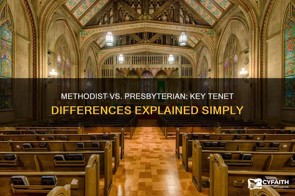 what is the basic difference between methodist and presbyterian tenet