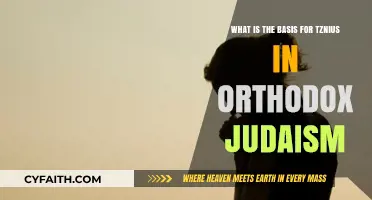 Understanding Tznius: The Foundations of Modesty in Orthodox Jewish Tradition