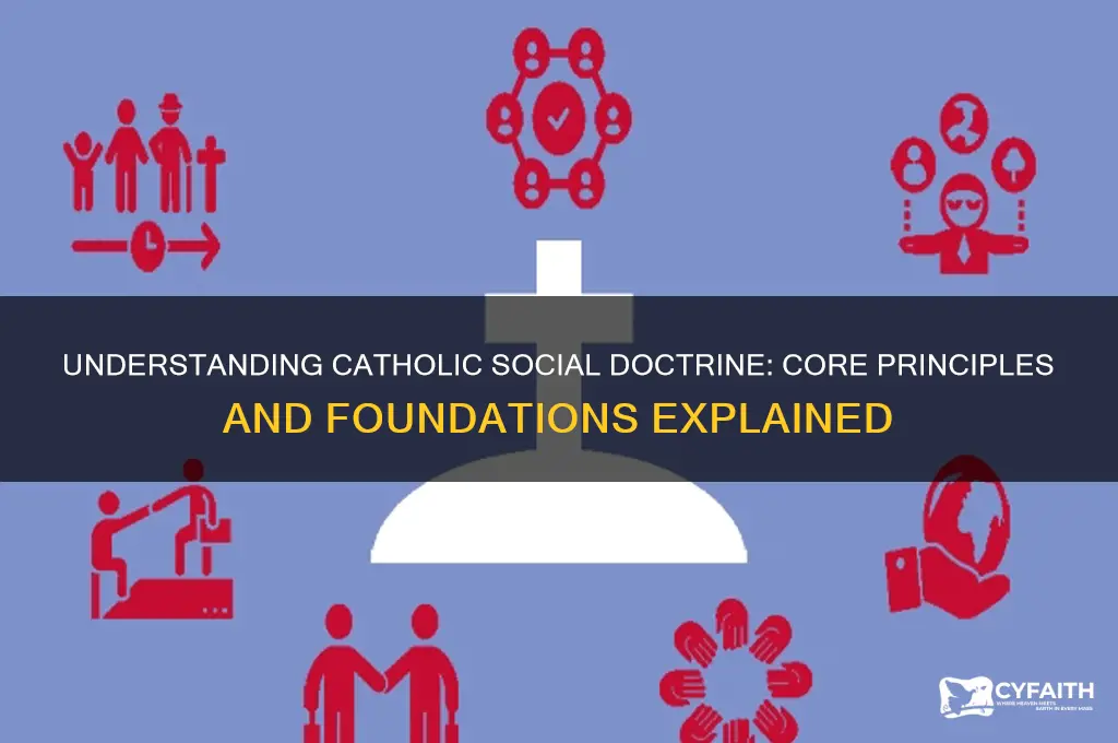 what is the basis of catholic social doctrine