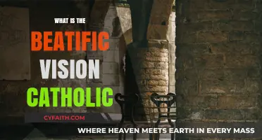 Understanding the Beatific Vision: A Core Catholic Teaching Explained