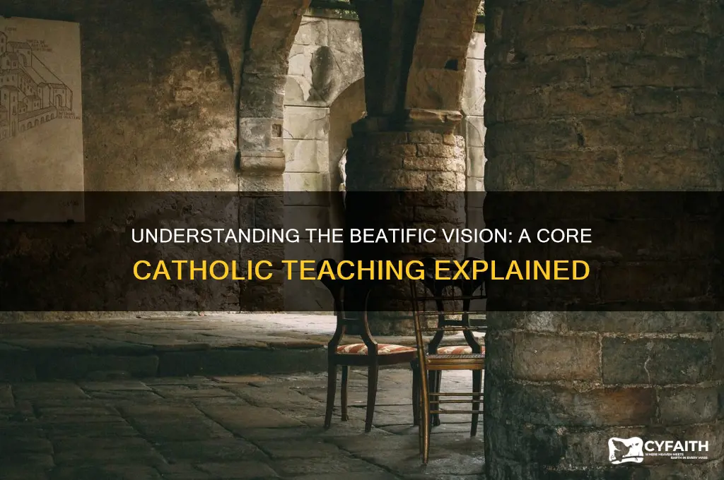 what is the beatific vision catholic