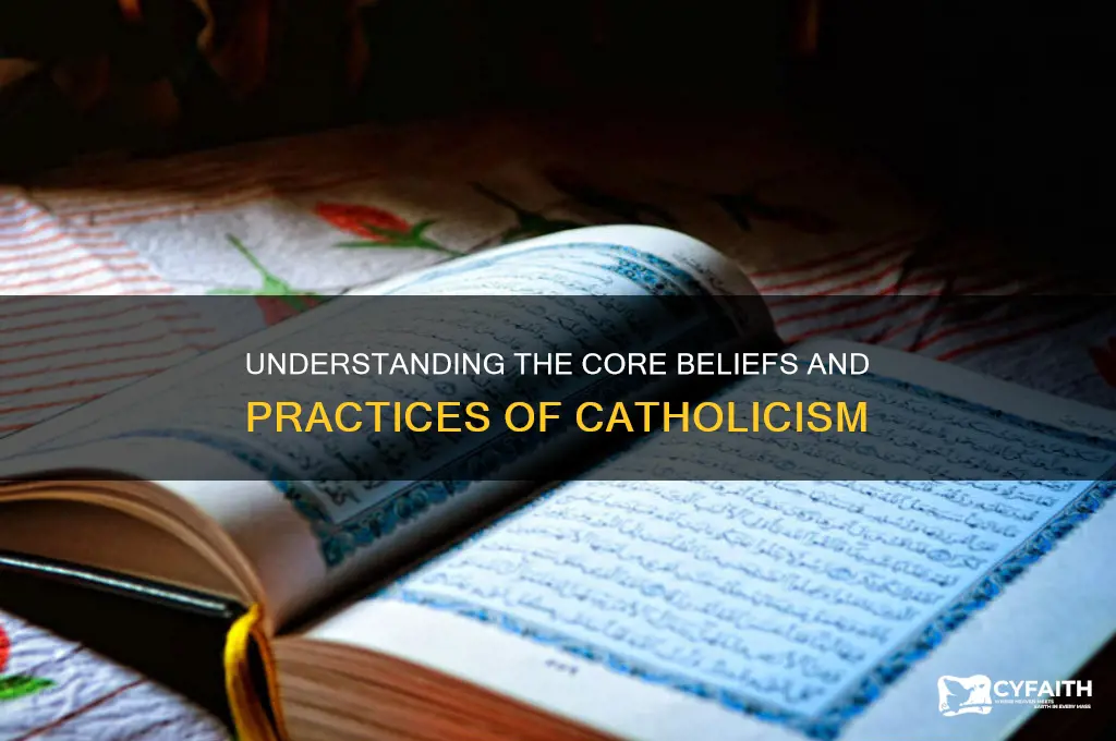what is the belief of catholic