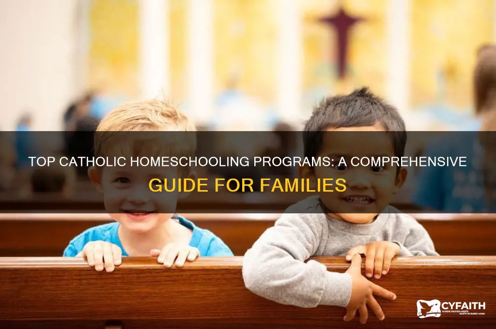 what is the best catholic homeschooling program