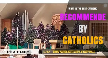 Top Catholic Recommendations: Faith-Endorsed Choices for Devout Believers