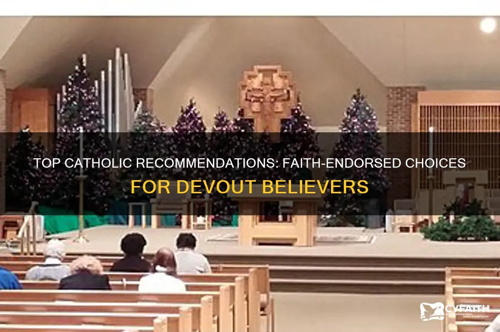 what is the best catholic recommended by catholics