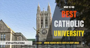 Top Catholic Universities: Finding the Best Fit for Your Faith and Future