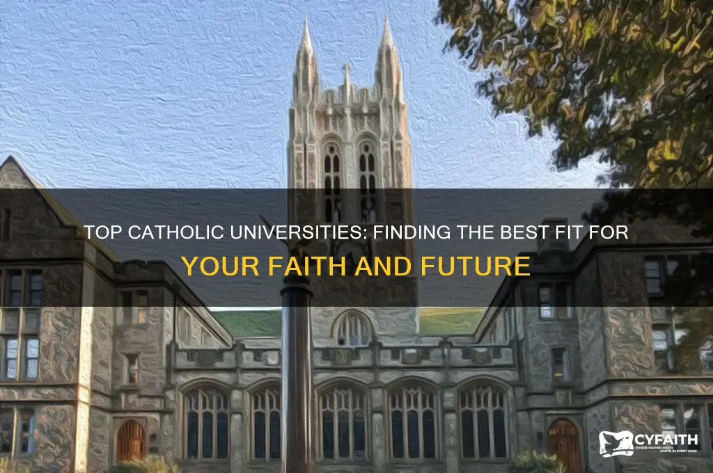 what is the best catholic university