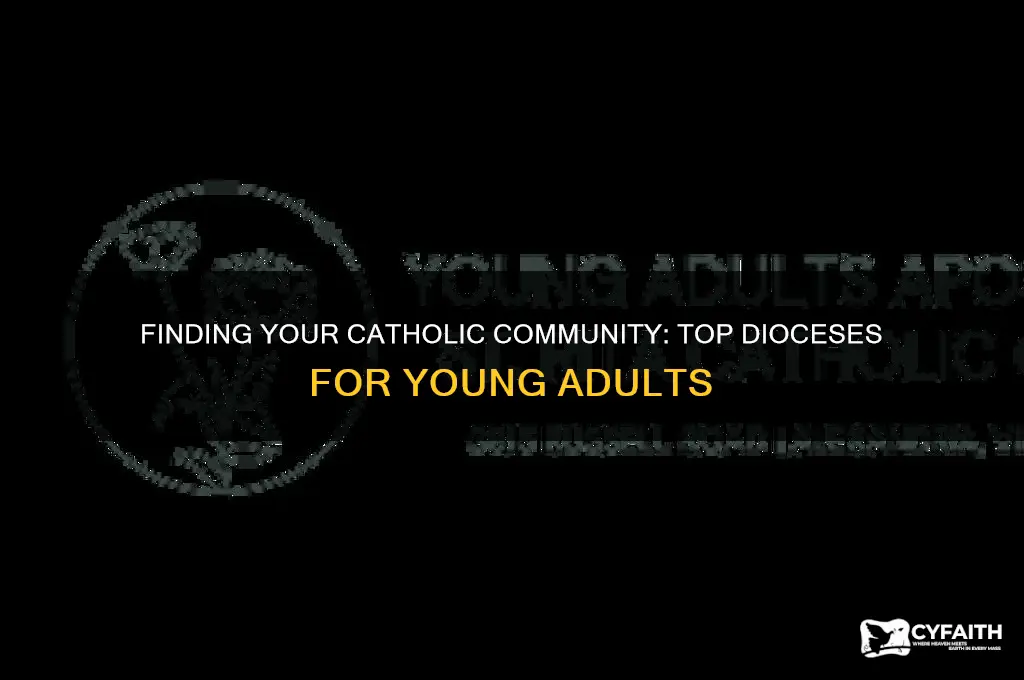 what is the best dicocese for catholic young adult