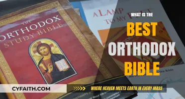 Discovering the Best Orthodox Bible for Spiritual Growth and Study