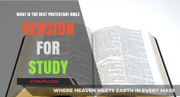 Exploring the Top Protestant Bible Versions for In-Depth Study