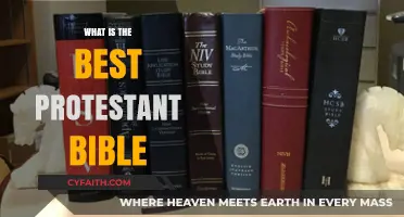 Exploring the Best Protestant Bible: A Comprehensive Guide