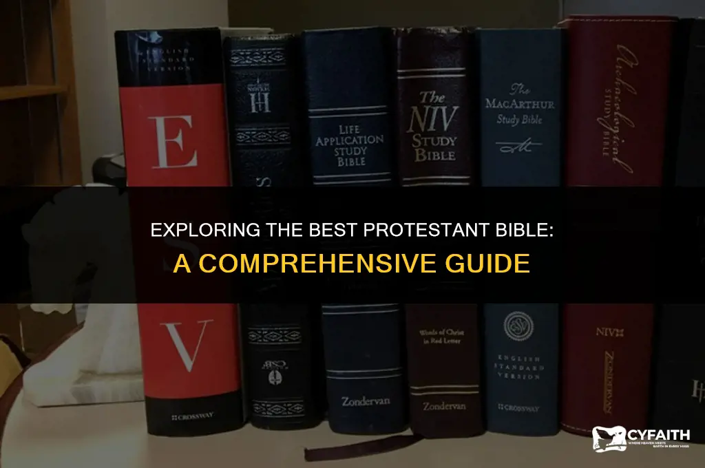 what is the best protestant bible