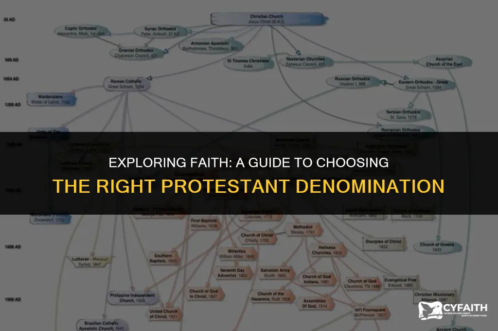 what is the best protestant denomination