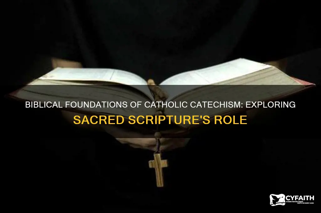 what is the biblical basis of catholic catechism