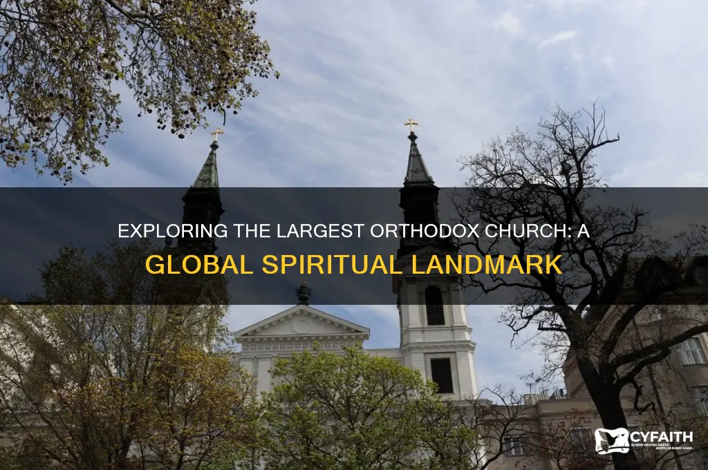 what is the biggest orthodox church