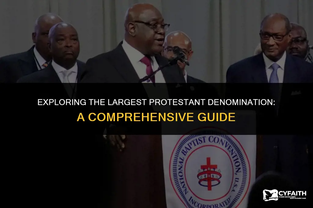 what is the biggest protestant denomination