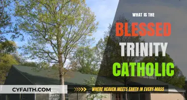 Understanding the Blessed Trinity: Core Beliefs of the Catholic Faith